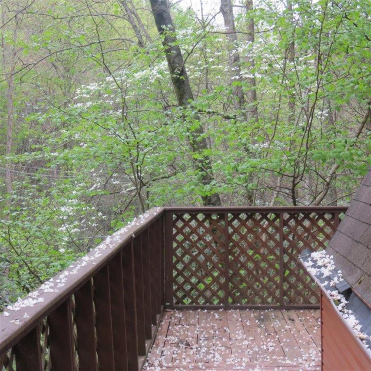 Buckberry Creek Chalet Gatlinburg Bagian luar foto